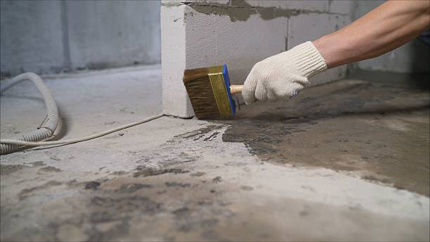 SJ Waterproofing Pros Sump Pump Installation coverage map for Palmyra, NY and surrounding area